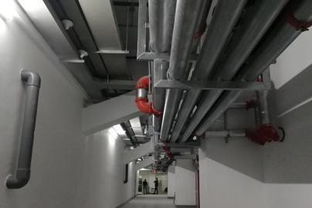 為科技創(chuàng)新點(diǎn)贊 公司成功舉辦機(jī)電安裝與BIM精品工程現(xiàn)場(chǎng)觀摩會(huì)，引領(lǐng)行業(yè)室內(nèi)外裝飾新高度